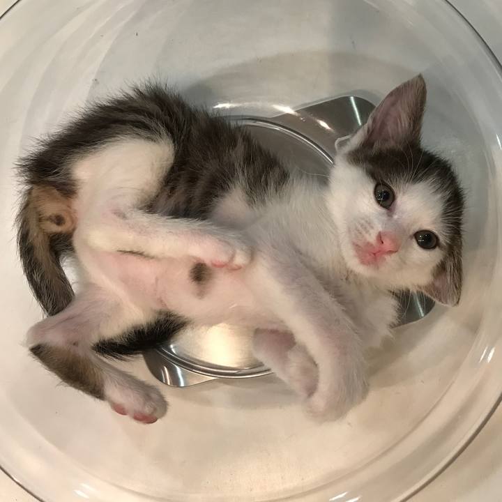 Be0f8d54 cb53 4db0 8013 7b2bdd7aa302