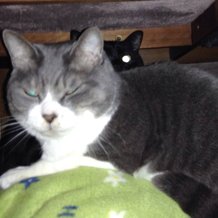 Be0fa20f ee82 43c1 a744 e86a58e0e64d