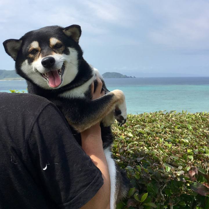 Be102518 4ea4 4103 8dd9 6f08516a59f9