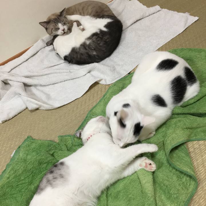 Be104081 710b 401e 9cc8 c215774ee514