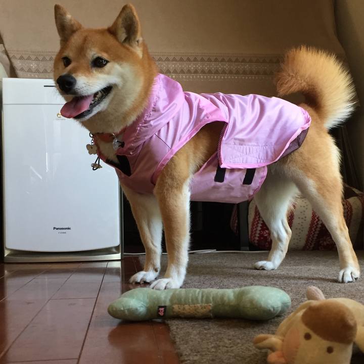 Be10526c a7dd 4c59 abc6 07041371577e