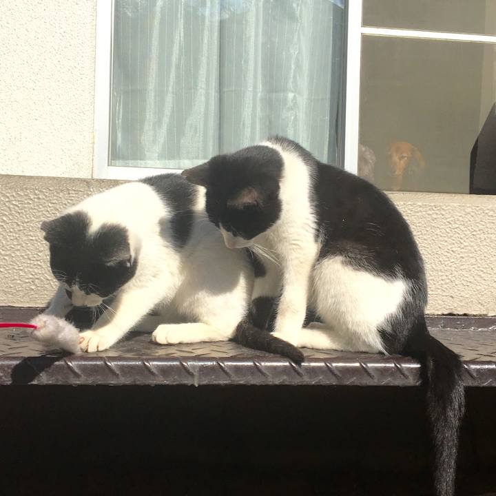 Be106075 d0fa 419d bb1f 6342f45051ed