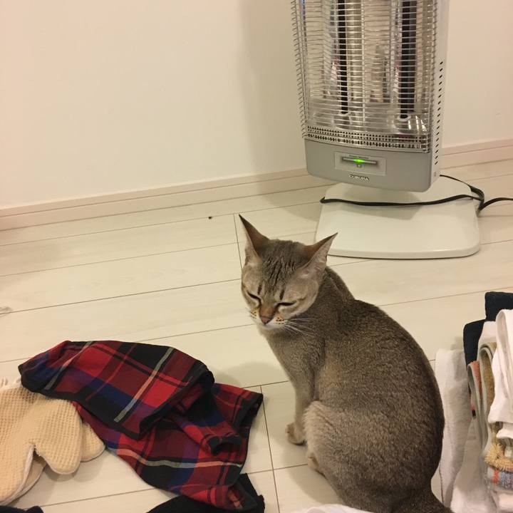 Be10acfd 041b 4558 a6ec dd07eb6ae0ca