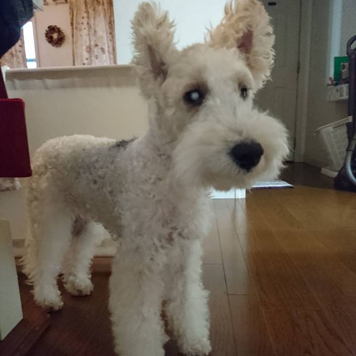 Be11f345 38bb 43e5 82f8 c00f53dbf8b1