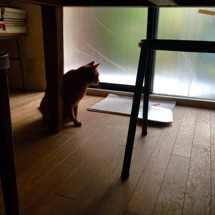 Be11f4c8 ed35 48da 8251 8e400c818632