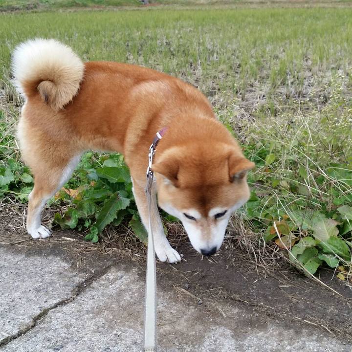 Be123c45 97d5 4671 be52 0ca7c2e55b5a