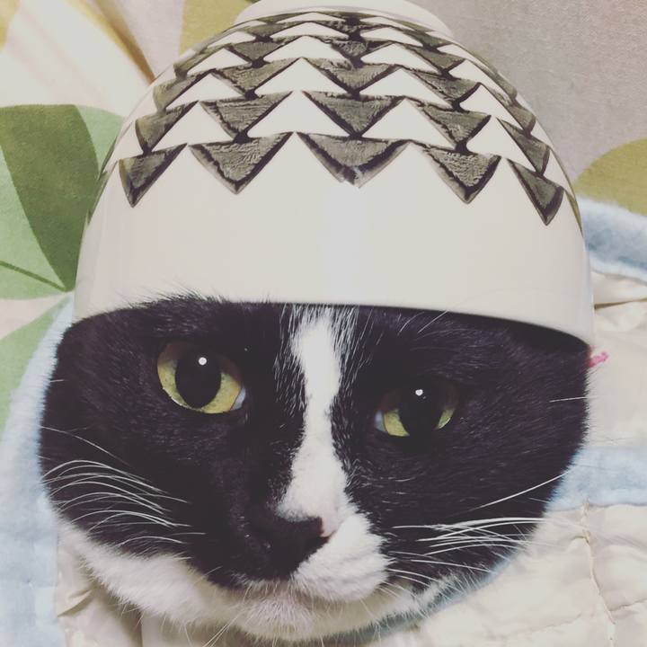 Be126132 59f7 49c9 977a 85aa00c99287