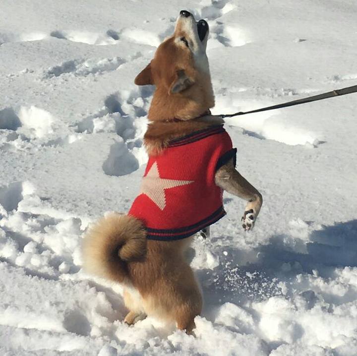 Be12ab60 5779 4972 9497 b7e4c46e806b