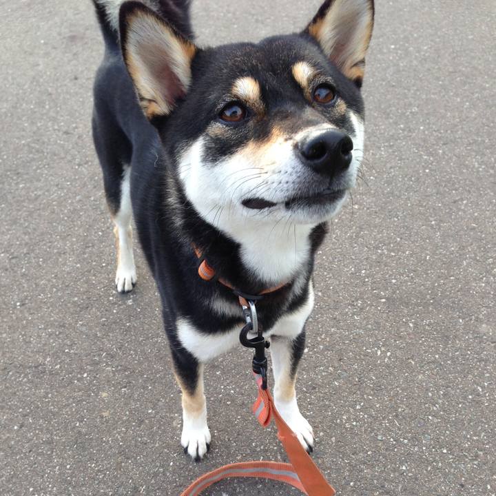 Be13ad6b 6528 44a6 9b9f 2b2c45ab0ce6