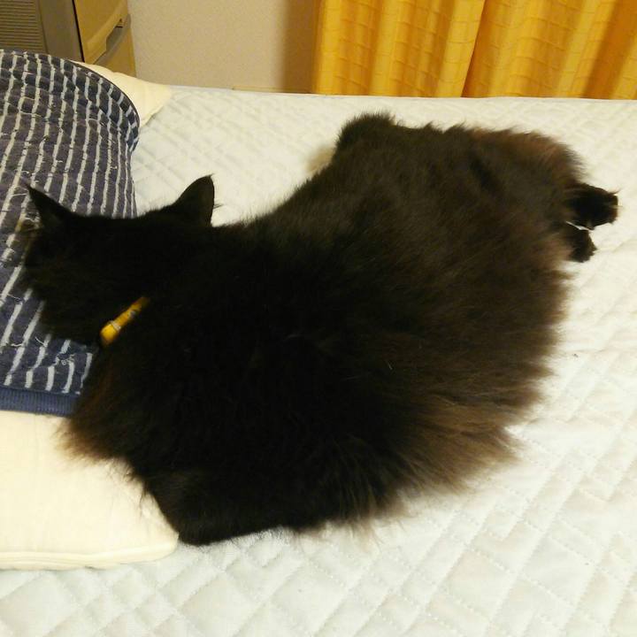 Be142b19 d0ed 4fb1 8adb 93e3f340a5d1