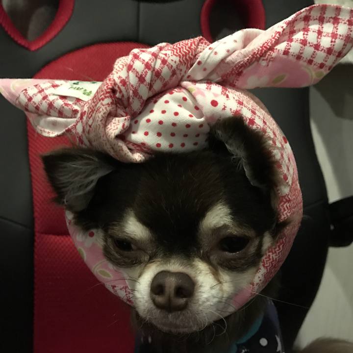 Be14b600 4a5c 4b5f 8955 f3a195914427