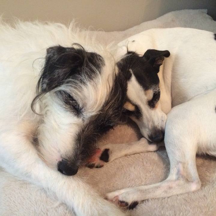 Be151dca ea9e 4a5b 9d65 829821b692eb