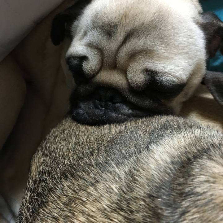 Be1558ea cd49 4e3e a297 3e8a16e726a8