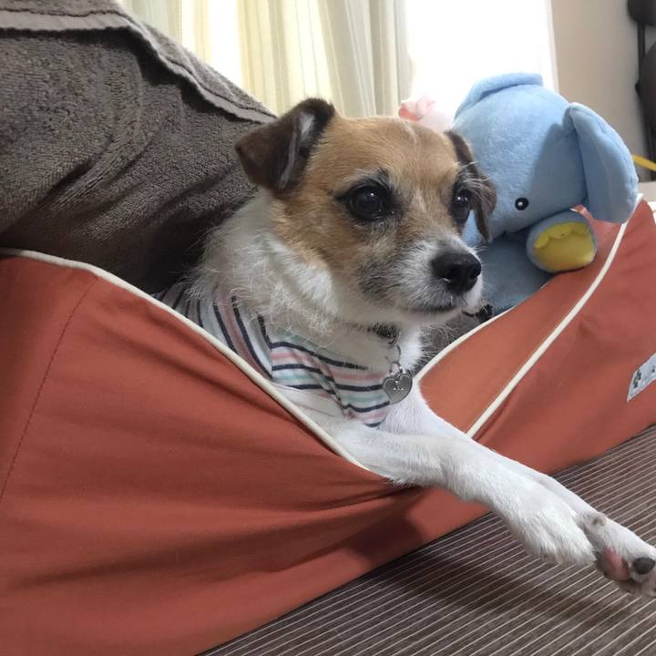 Be156b17 1823 4823 928e b191e8d821ed