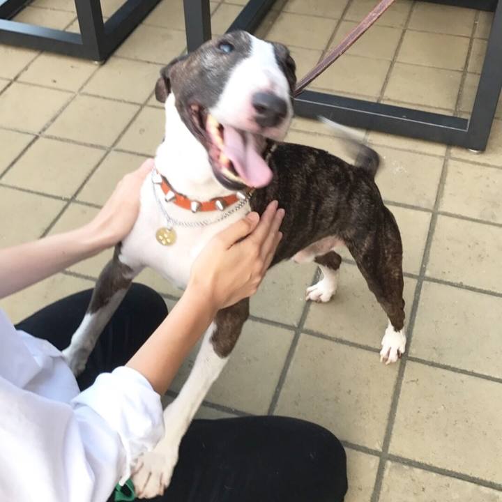 Be157e87 e61e 4b8f 8dec d7aee8ac08b1