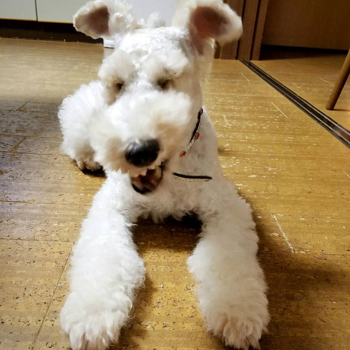 Be16738b a2e9 41d3 b2bc b0146380ced0