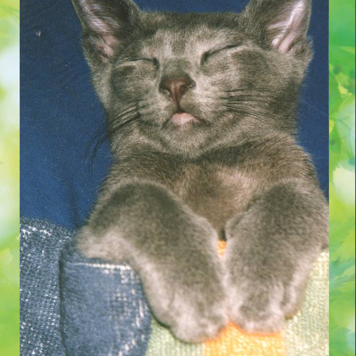 Be17142f dc98 4c75 8265 69096de74922