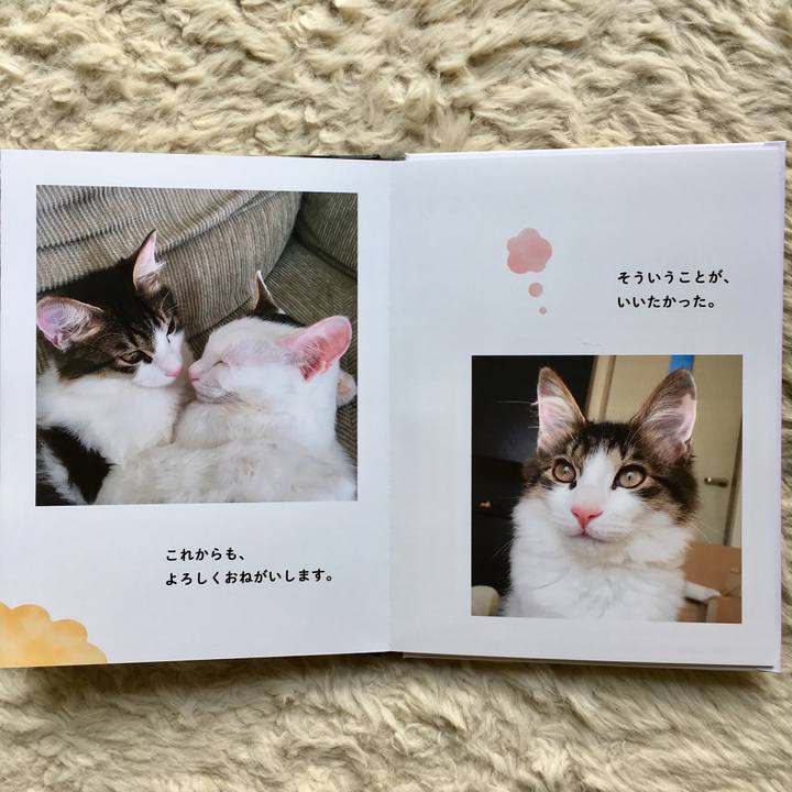 Be1715ff 3e1a 43c6 913d 76e739b02bd9