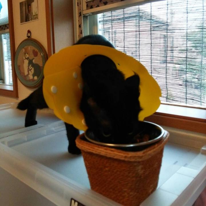 Be17a853 4fdb 4a65 82de 6917b6735eb6