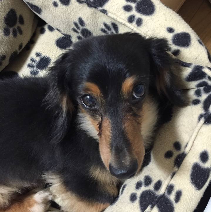 Be185641 202a 4efd 8713 31683539b1a2