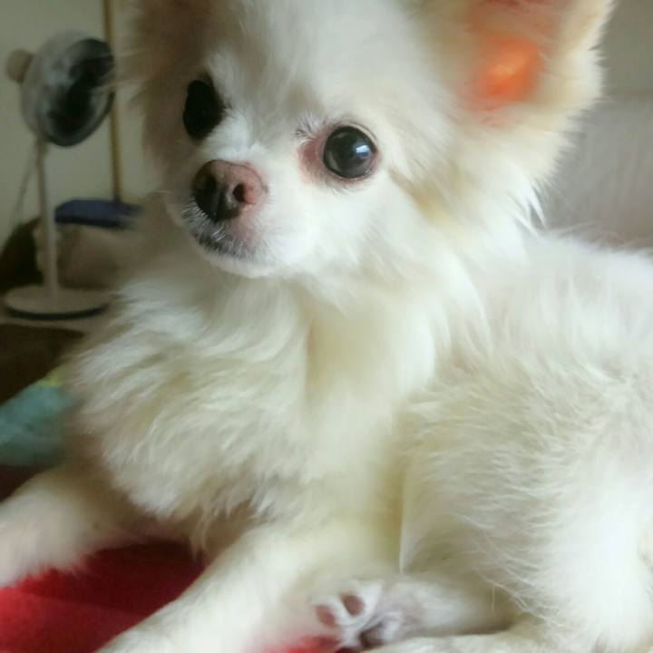 Be19ef4f 4bf6 49e8 88e9 9239e4437471