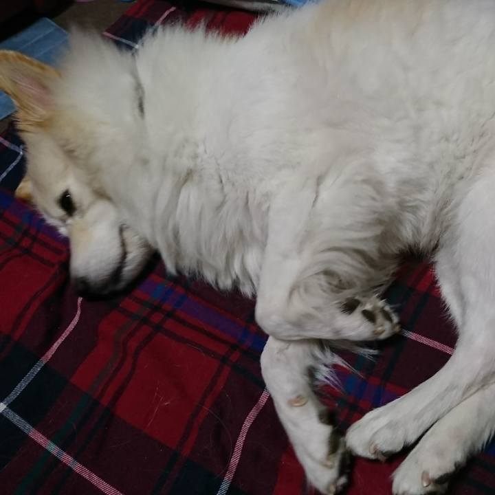 Be19f613 dee0 46e3 b9c4 983fd243bfd3