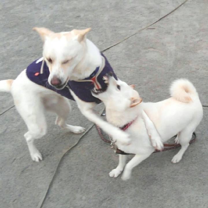 Be1a5488 fae7 4ab6 97fd d7a9faf8d110