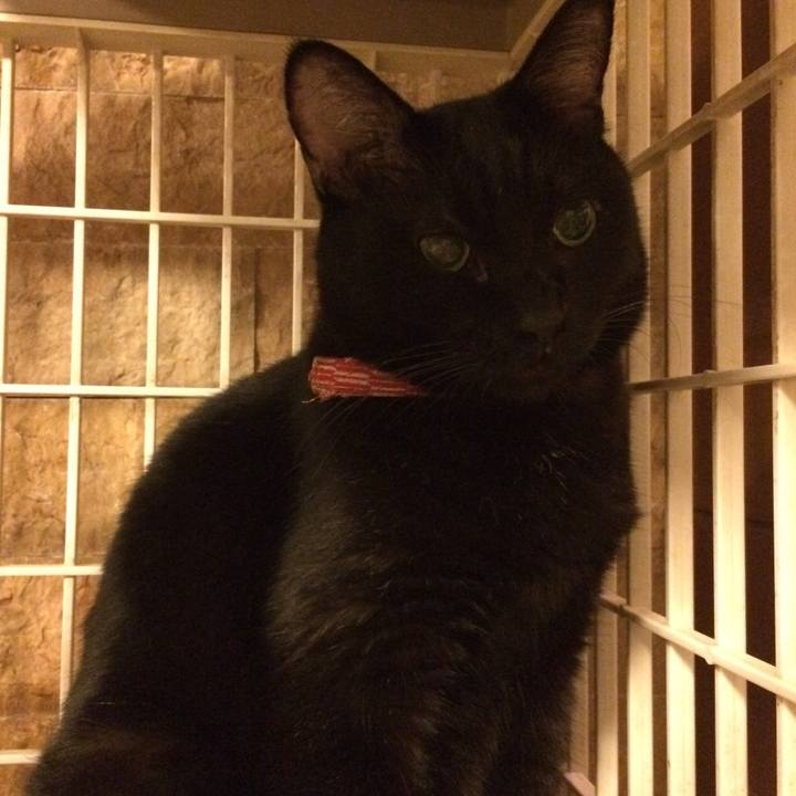 Be1ab6c5 f3ee 42da 914a af325b538f2c