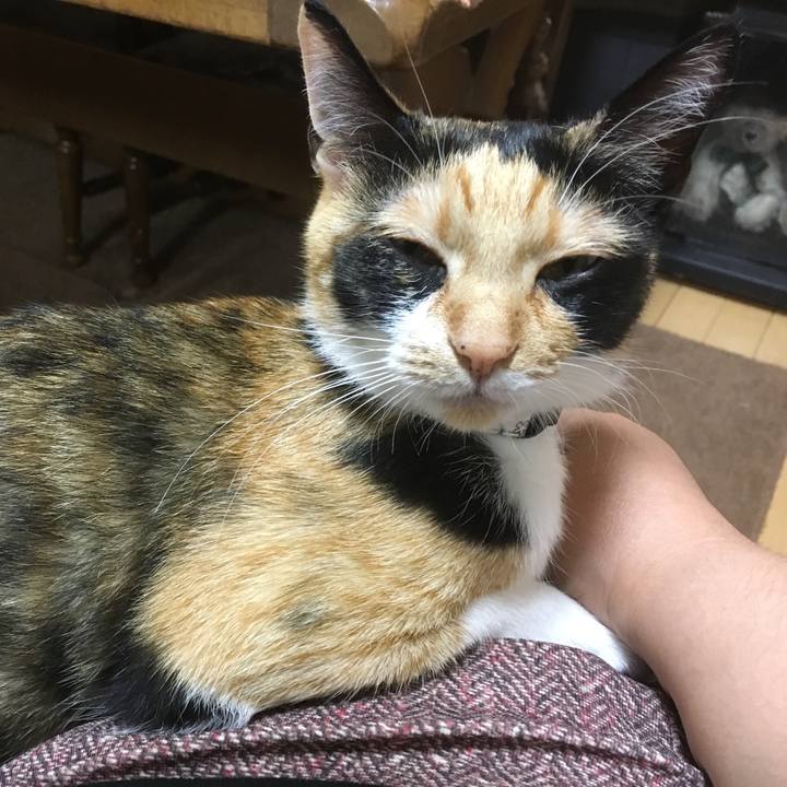 Be1b6b43 35bc 4fc5 b452 c5a753107bd3