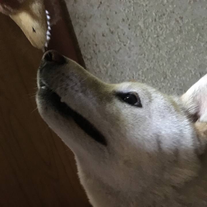 Be1ba8f5 bfeb 4eb5 aa57 4f084d0478d3