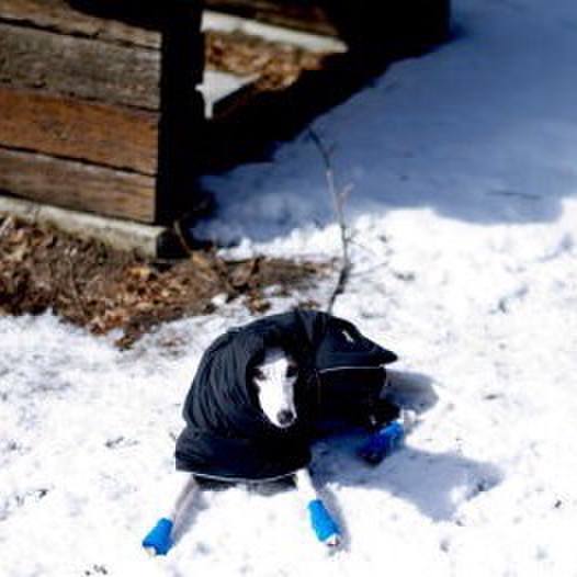 Be1bd9a1 ff28 4974 9ec5 ccdcc80f2f21