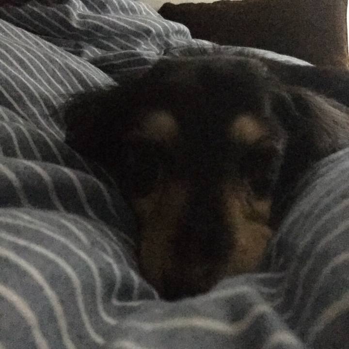 Be1c1c43 c2f2 4c4c 9d53 ae2d31763f59