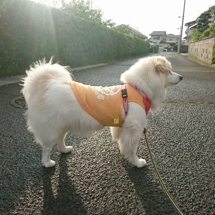 Be1c7672 0bbd 4ebe 9b3d 483781c160b3