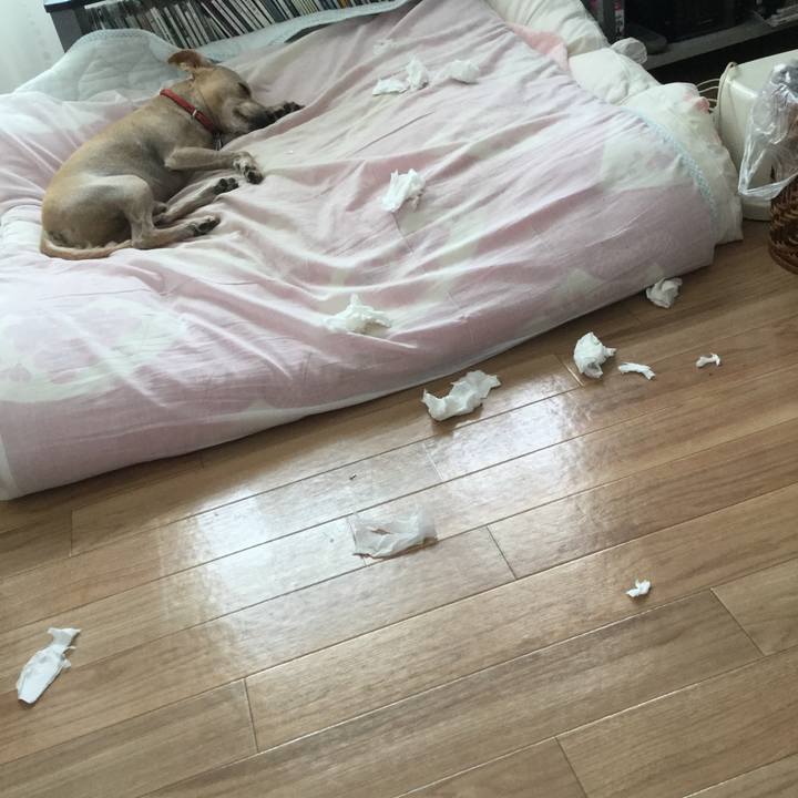 Be1c7bd0 fe4e 476f b189 d98249d1944a