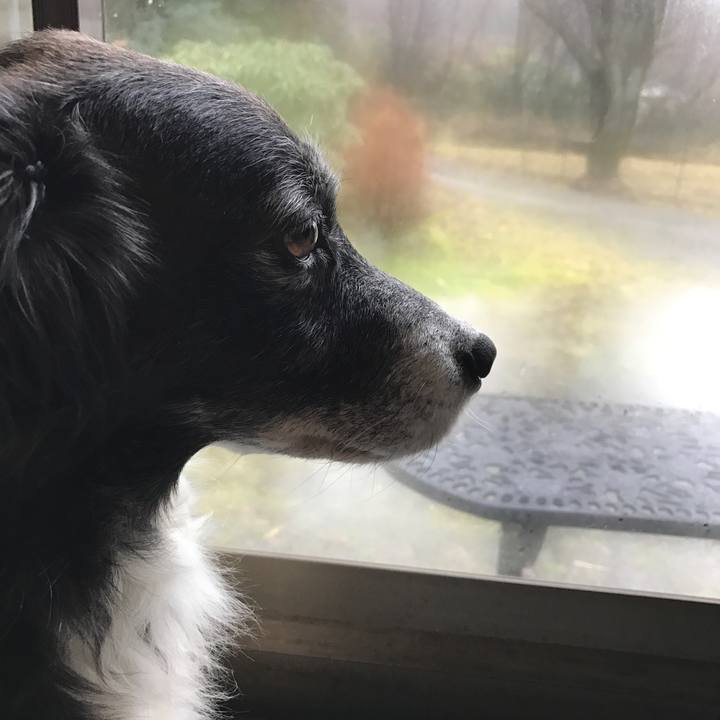 Be1ca7bd 5032 4ad3 9973 53b0dac08da3