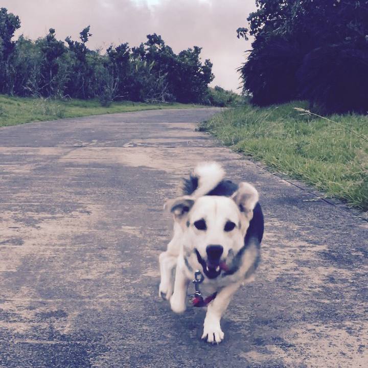 Be1cb328 ccd8 4903 bcd3 461403e5053c