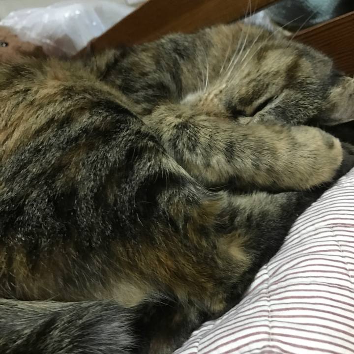 Be1f6690 1701 4612 a1ab 50db3a655041