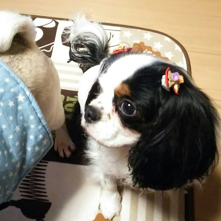 Be1f7931 12ea 4359 b130 3fcc85cfd5d0