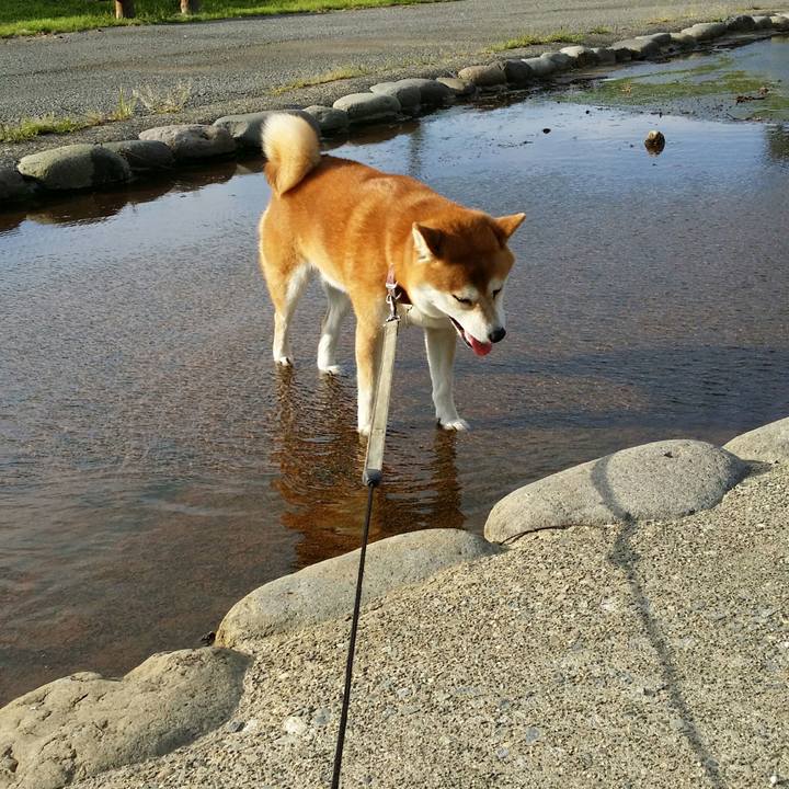 Be205388 ad24 4e09 bbe3 56f0e74bead4