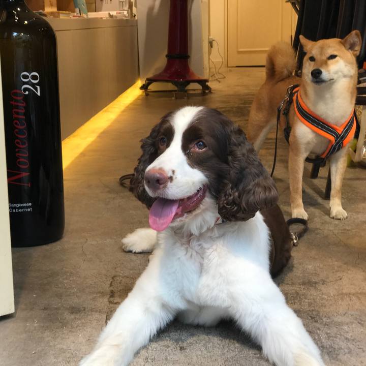 Be2066ad cea7 48a2 9bdb a86b37d56d78