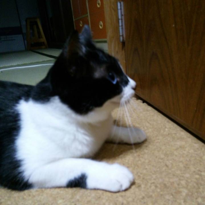 Be211f98 3330 4f33 a400 66250670d003