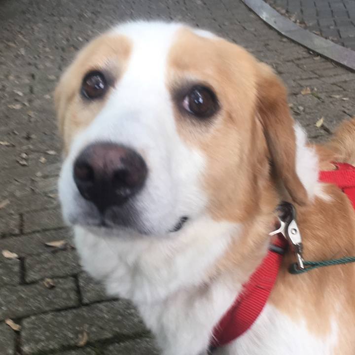 Be21580e 96b9 4272 8c6f e1cc5f6fffb8