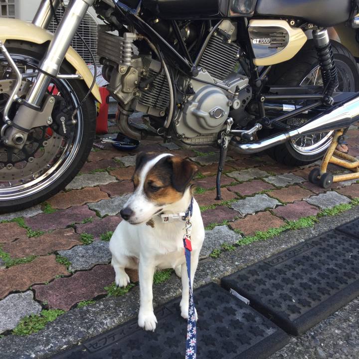 Be223d66 7334 4a6e 99ec fdcce7dd9f50