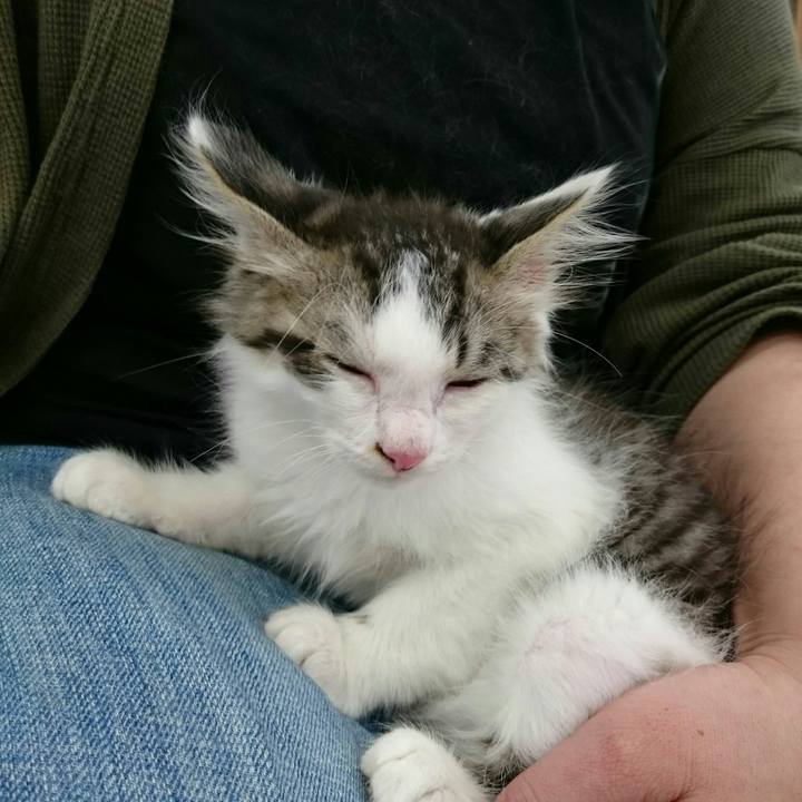 Be22f446 196b 42da 8925 19421bd7aa9c