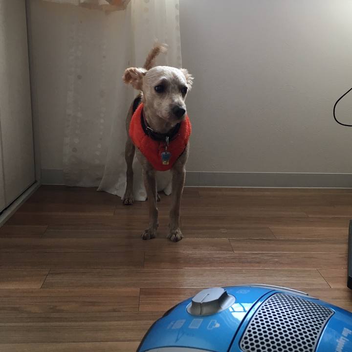 Be22fca5 983b 40f8 9122 302c6a77642a