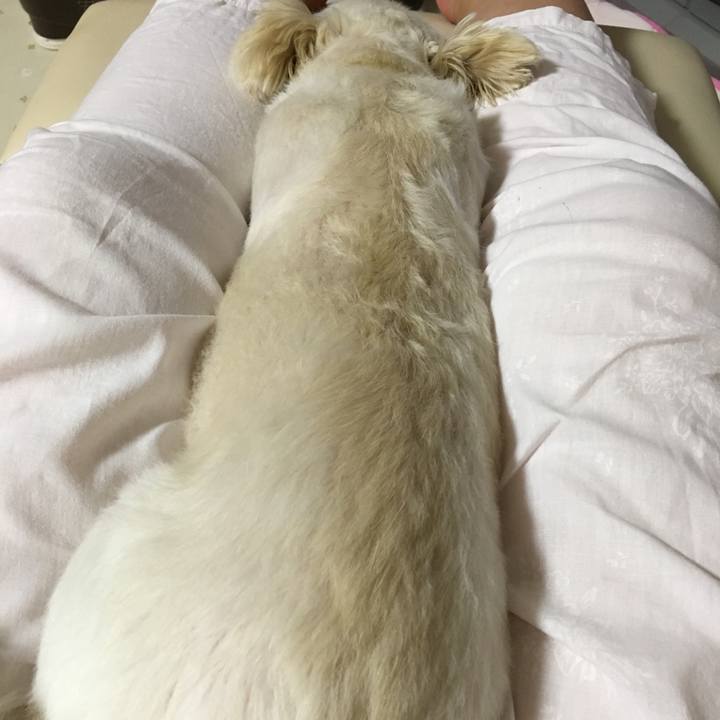 Be232a99 048c 41cc af68 1ea9bbdb5332