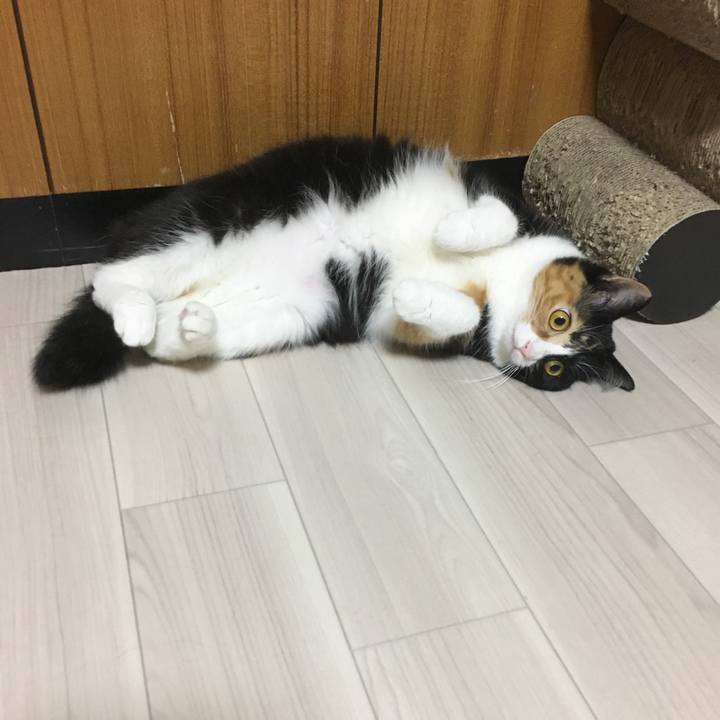 Be23808b 427a 464d b4b9 c97c0b0b8aa1