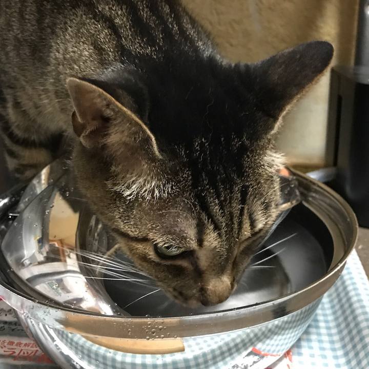 Be23abe1 04bd 4e09 81f7 ea72d6ab293f