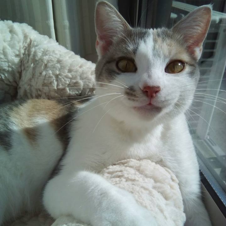 Be23ec11 237e 4883 9a5e 27e6ffae9956