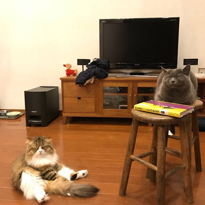 Be23ff0c ee73 4c5f 83f3 07867d60169c